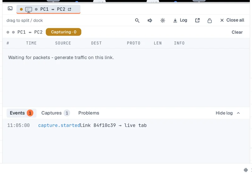 Step 3: Capture packets on a link