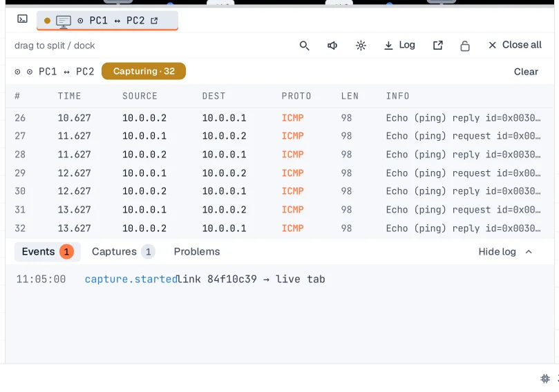 Step 4: Capture packets on a link