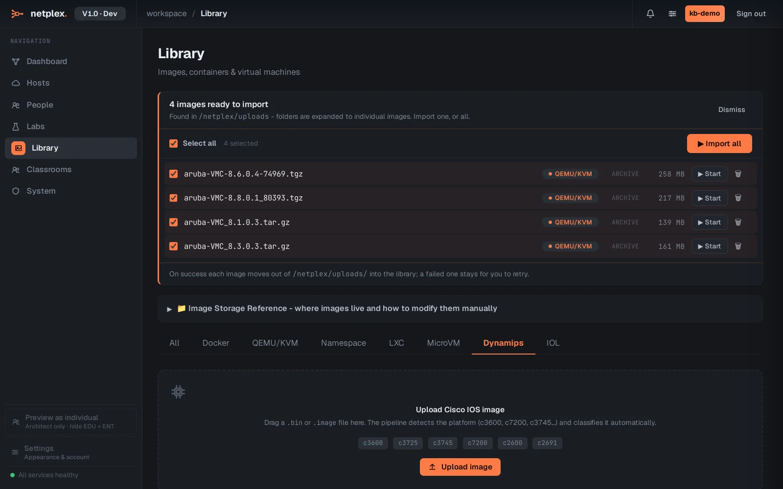 Step 4: What netplex. can run: the runtimes