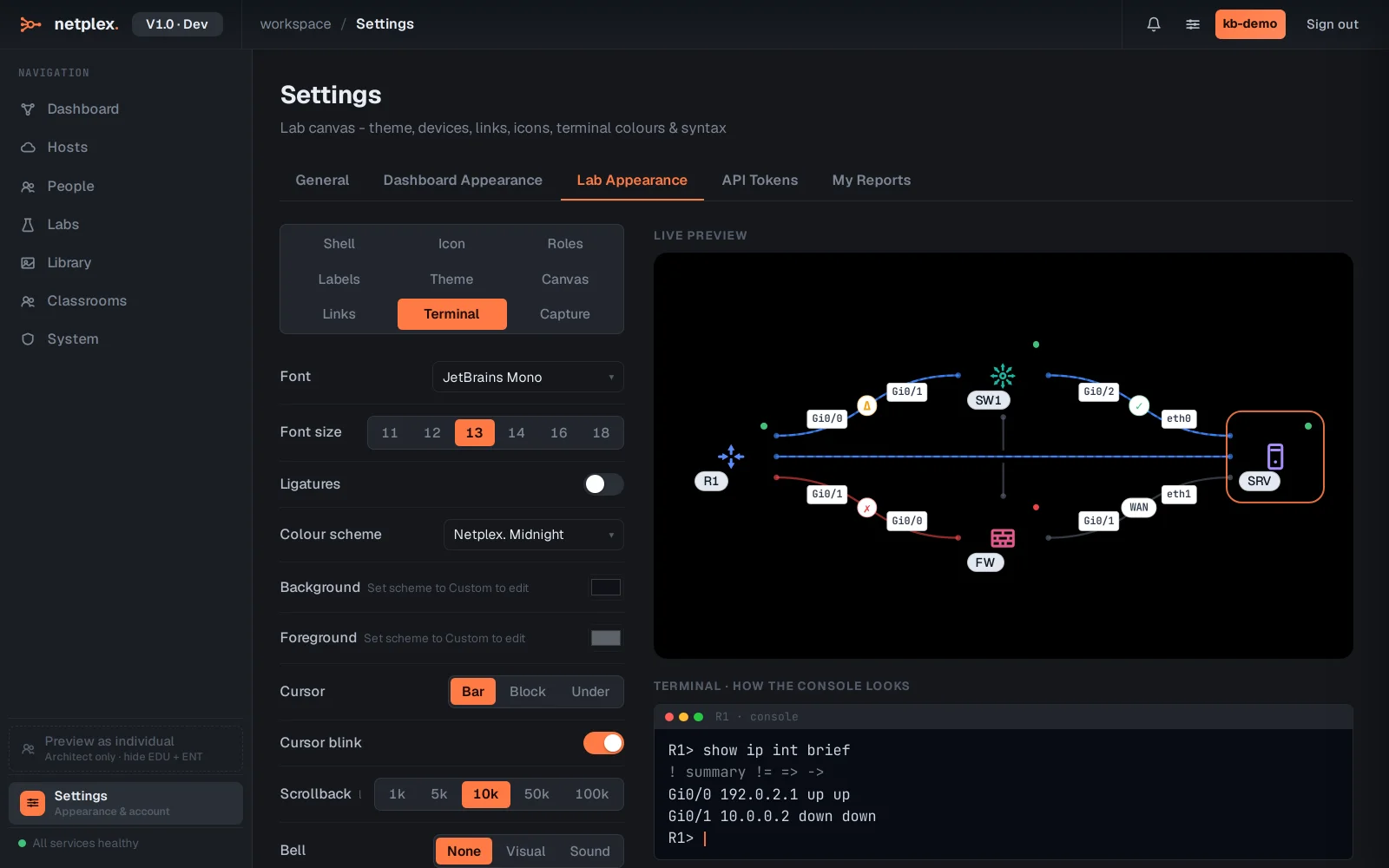 Step 2: Themes and terminal colours