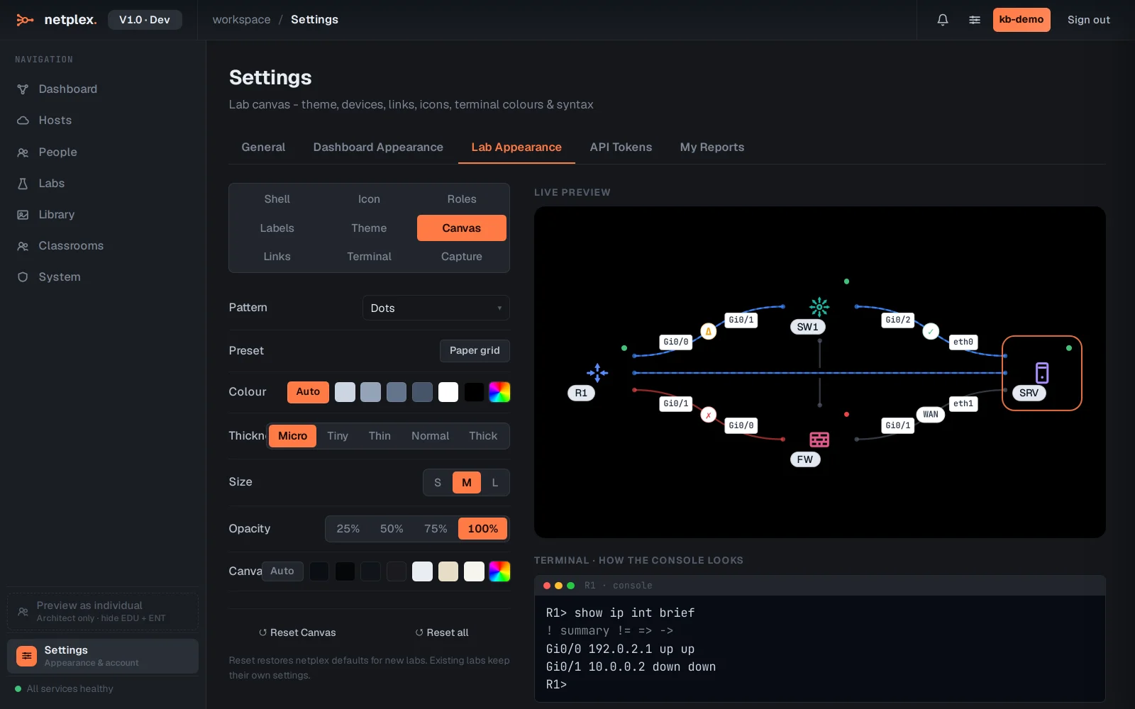 Step 3: Themes and terminal colours